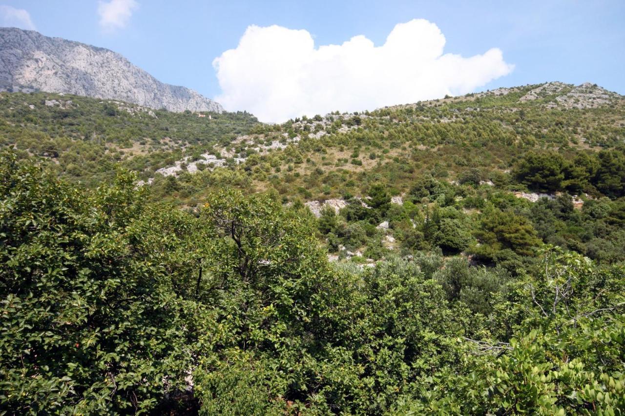 Apartments By The Sea Drvenik Donja Vala, Makarska - 6701 Екстериор снимка